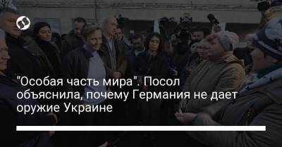Анка Фельдгузен - "Особая часть мира". Посол объяснила, почему Германия не дает оружие Украине - liga.net - Украина - Германия