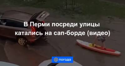Анна Лысенко - В Перми посреди улицы катались на сап-борде (видео) - news.mail.ru - Пермь