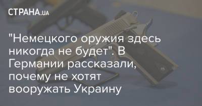 Анка Фельдгузен - "Немецкого оружия здесь никогда не будет". В Германии рассказали, почему не хотят вооружать Украину - strana.ua - Украина - Германия - Посол