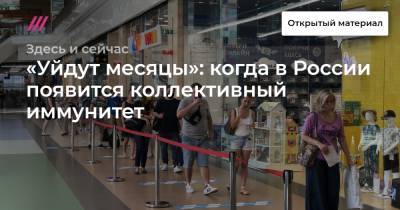 Василий Власов - «Уйдут месяцы»: когда в России появится коллективный иммунитет - tvrain.ru - Россия