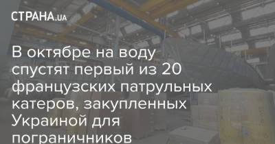 Арсен Аваков - В октябре на воду спустят первый из 20 французских патрульных катеров, закупленных Украиной для пограничников - strana.ua - Украина