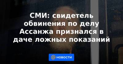 СМИ: свидетель обвинения по делу Ассанжа признался в даче ложных показаний - news.mail.ru - США - Исландия