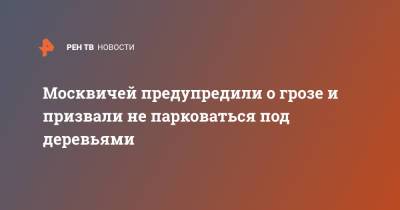 Москвичей предупредили о грозе и призвали не парковаться под деревьями - ren.tv - Москва