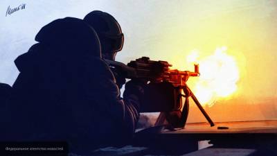 Анка Фельдгузен - Немецкий посол указала на причину отказа Германии вооружать Украину - inforeactor.ru - Украина - Киев - Египет - Германия