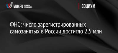 ФНС: число зарегистрированных самозанятых в России достигло 2,5 млн - ivbg.ru - Россия - Украина - Россияне