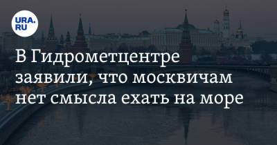 Роман Вильфанд - В Гидрометцентре заявили, что москвичам нет смысла ехать на море - ura.news - Москва - Россия
