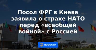 Владимир Зеленский - Посол ФРГ в Киеве заявила о страхе НАТО перед «всеобщей войной» с Россией - news.mail.ru - Россия - Украина - Киев - Германия