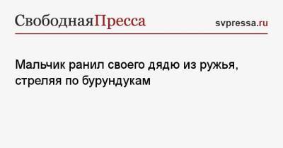 Мальчик ранил своего дядю из ружья, стреляя по бурундукам - svpressa.ru - Россия - США - Псковская обл.