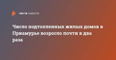 Число подтопленных жилых домов в Приамурье возросло почти в два раза - ren.tv - Амурская обл.