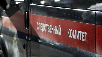 В Тыве началась проверка по факту вспышки COVID-19 в детском лагере - iz.ru - Россия - Израиль - респ.Тыва