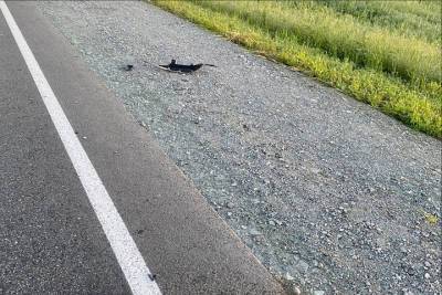 Водитель иномарки под Омском ночью насмерть сбил велосипедиста - omsk.mk.ru - Омск - Омская обл.