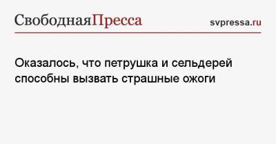 Оказалось, что петрушка и сельдерей способны вызвать страшные ожоги - svpressa.ru - Россия