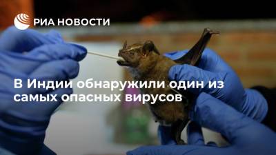 Смертельно опасный для людей вирус Нипах впервые выявили у летучих мышей в штате Махараштра - ria.ru - Индия - Нью-Дели