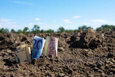 Тарас Высоцкий - На Украине заявили, что Киев не будет контролировать продажу земли - news-front.info - Украина - Киев