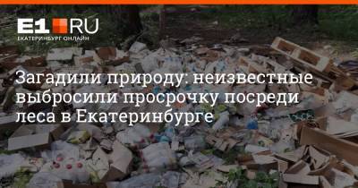 Загадили природу: неизвестные выбросили просрочку посреди леса в Екатеринбурге - e1.ru - Екатеринбург