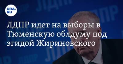 Владимир Вольфович Жириновский - ЛДПР идет на выборы в Тюменскую облдуму под эгидой Жириновского - ura.news - Россия - Тюмень - Тюменская обл. - Югра - окр. Янао