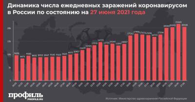 В России выявили 20538 новых случаев COVID-19 за сутки - profile.ru - Москва - Россия - Санкт-Петербург - Московская обл.