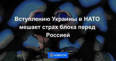 Анка Фельдгузен - Вступлению Украины в НАТО мешает страх блока перед Россией - news.mail.ru - Москва - Россия - Украина - Киев - Германия