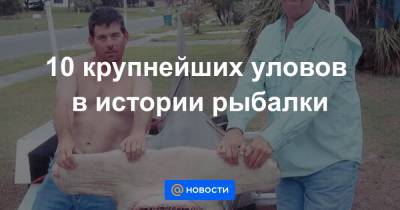 10 крупнейших уловов в истории рыбалки - news.mail.ru - США - шт.Флорида - шт. Массачусетс