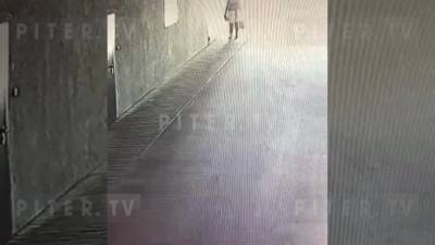 Петербуржец напал на девушку в лифте - piter.tv