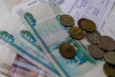Предприимчивая астраханка обманула государства - ast.mk.ru - Россия