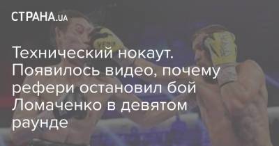 Технический нокаут. Появилось видео, почему рефери остановил бой Ломаченко в девятом раунде - strana.ua - Украина