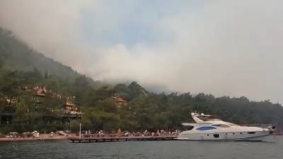 Пламя охватило леса около турецкого курорта, погиб лесничий. Видео - vesti.ru