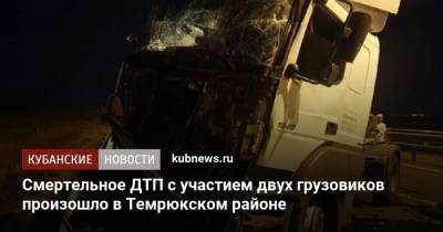 Смертельное ДТП с участием двух грузовиков произошло в Темрюкском районе - kubnews.ru - Краснодарский край - Новороссийск - Керчь