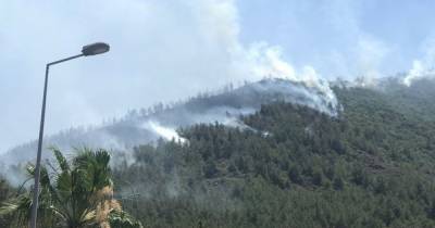 Возле популярного курорта в Турции начался лесной пожар, погиб спасатель (видео) - focus.ua - Украина - Турция - Мармарис