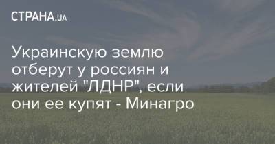 Тарас Высоцкий - Украинскую землю отберут у россиян и жителей "ЛДНР", если они ее купят - Минагро - strana.ua - Россия - Украина - Донбасс