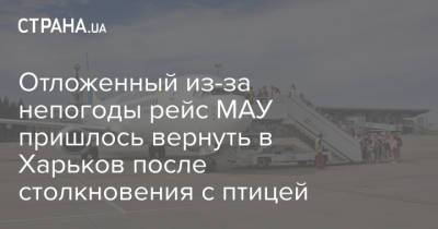 Отложенный из-за непогоды рейс МАУ пришлось вернуть в Харьков после столкновения с птицей - strana.ua - Украина - Турция - Харьков