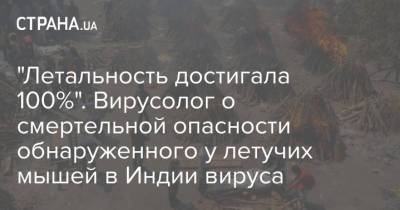 "Летальность достигала 100%". Вирусолог о смертельной опасности обнаруженного у летучих мышей в Индии вируса - strana.ua - Украина - Индия