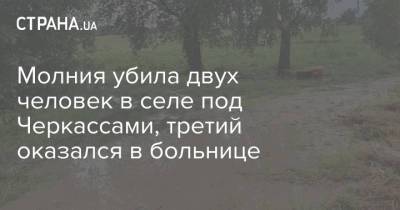 Молния убила двух человек в селе под Черкассами, третий оказался в больнице - strana.ua - Украина - Черкасская обл. - Черкассы - Черкесск