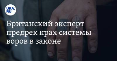Британский эксперт предрек крах системы воров в законе. «Их дни сочтены» - ura.news - Россия - Украина - Грузия - Лондон