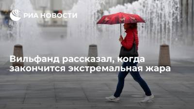 Роман Вильфанд - В Гидрометцентре рассказали, когда закончится экстремальная жара в Центральной России - ria.ru - Москва - Россия - ЦФО