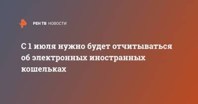 Виктор Достов - С 1 июля нужно будет отчитываться об электронных иностранных кошельках - ren.tv - Россия