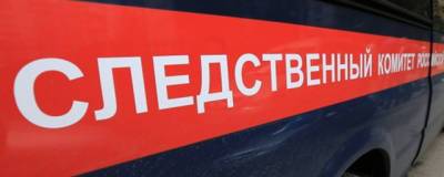 В Новосибирске нашли тело пропавшего 36-летнего программиста - runews24.ru - Новосибирск