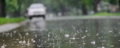В Новосибирске 28 июня ожидаются дождь и гроза - runews24.ru - Новосибирск - Новосибирская обл.