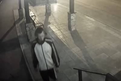 Вандалы две ночи подряд вырывают цветы около цветочного салона на проспекте Советов в Чите - chita.ru - Чита