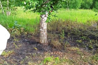 Молния убила женщину в башкирском лесу - ufa.mk.ru - Башкирия - район Аургазинский