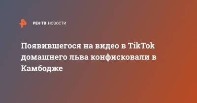 Появившегося на видео в TikTok домашнего льва конфисковали в Камбодже - ren.tv - Китай - Камбоджа