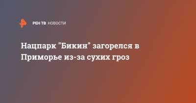 Нацпарк "Бикин" загорелся в Приморье из-за сухих гроз - ren.tv - Приморье край