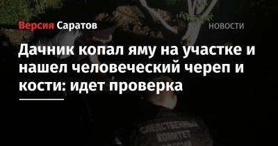 Дачник копал яму на участке и нашел человеческий череп и кости: идет проверка - nversia.ru - Саратовская обл.