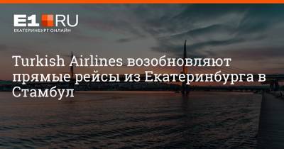 Максим Бутусов - Turkish Airlines возобновляют прямые рейсы из Екатеринбурга в Стамбул - e1.ru - Екатеринбург - Турция - Стамбул