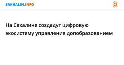 На Сахалине создадут цифровую экосистему управления допобразованием - sakhalin.info