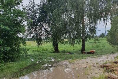 В Черкасской области молния попала в троих человек, двое погибли - kp.ua - Украина - Черкасская обл.