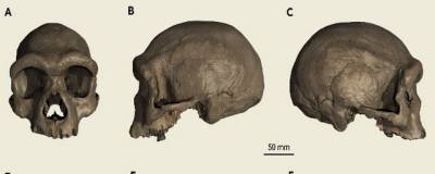 Ученые отнесли найденный череп к ранее неизвестному виду человека - runews24.ru - Китай - Англия