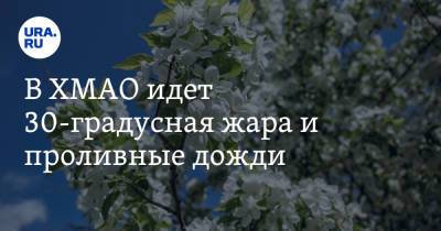 В ХМАО идет 30-градусная жара и проливные дожди - ura.news - Ханты-Мансийск - Сургут - Югра