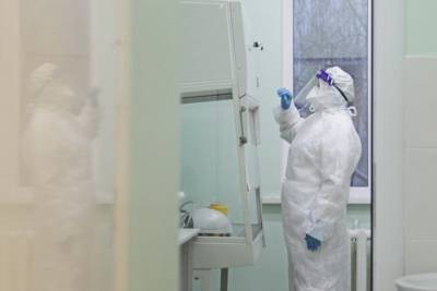 За сутки в регионе заболели коронавирусом 76 тамбовчан - tambov.mk.ru