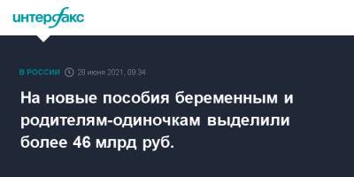Михаил Мишустин - На новые пособия беременным и родителям-одиночкам выделили более 46 млрд руб. - interfax.ru - Москва - Россия